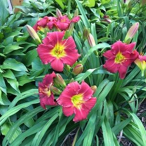 Meet your Posher, Karen